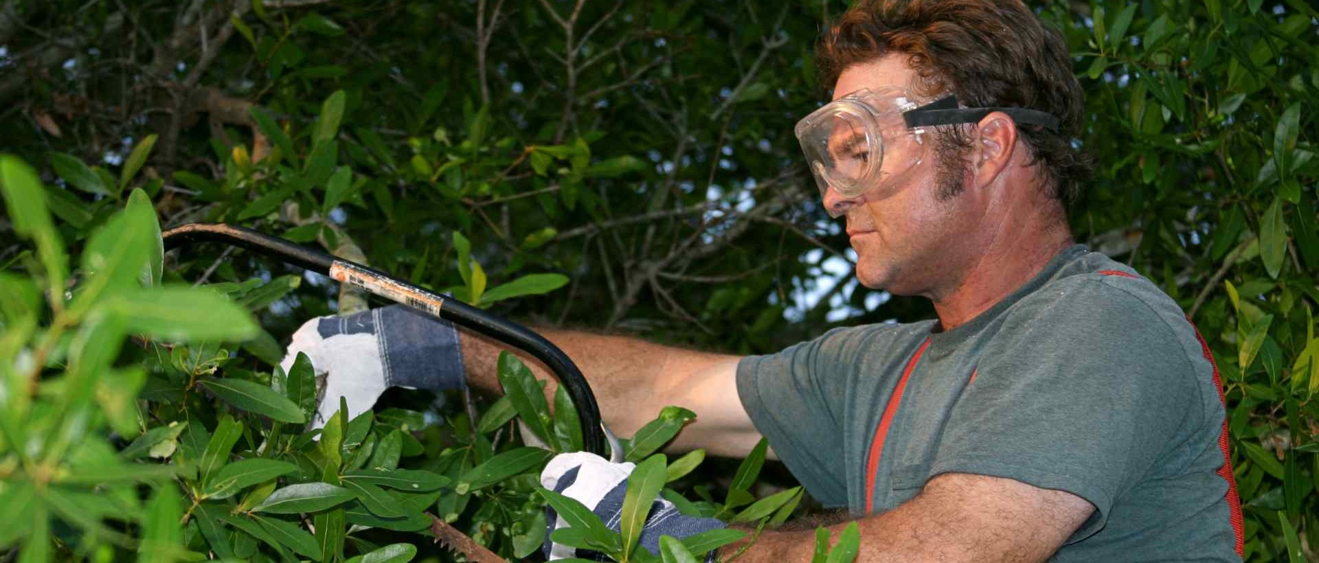 garden clearance TW13